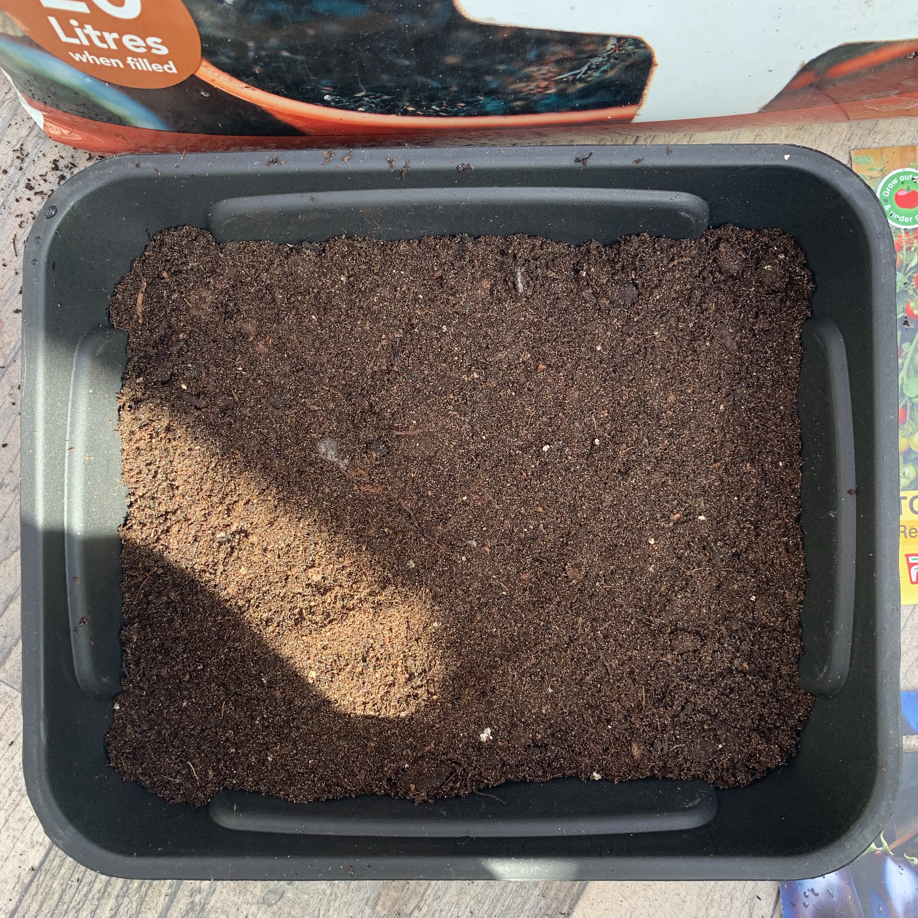 Compost in seed tray