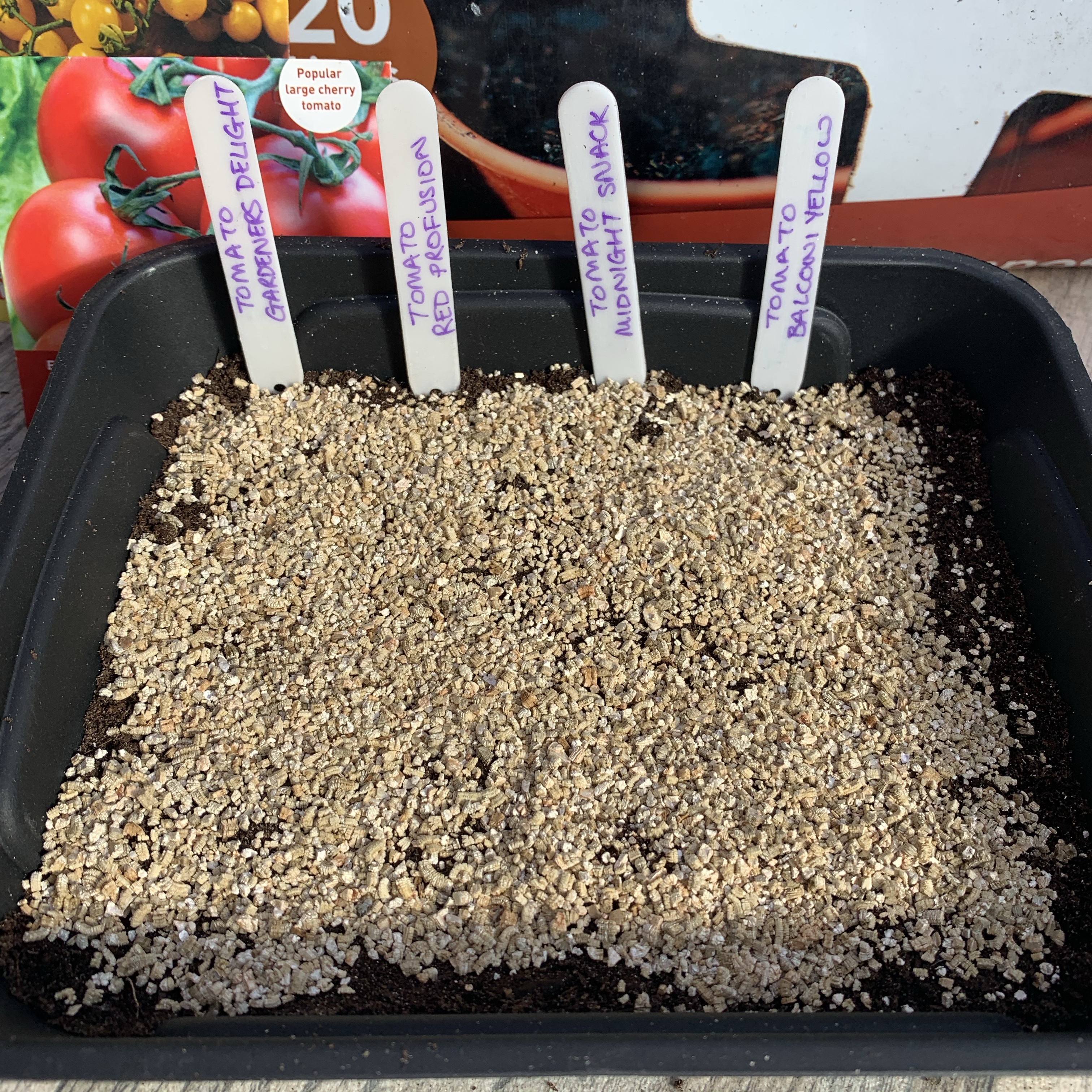 Seed tray with vermiculite 