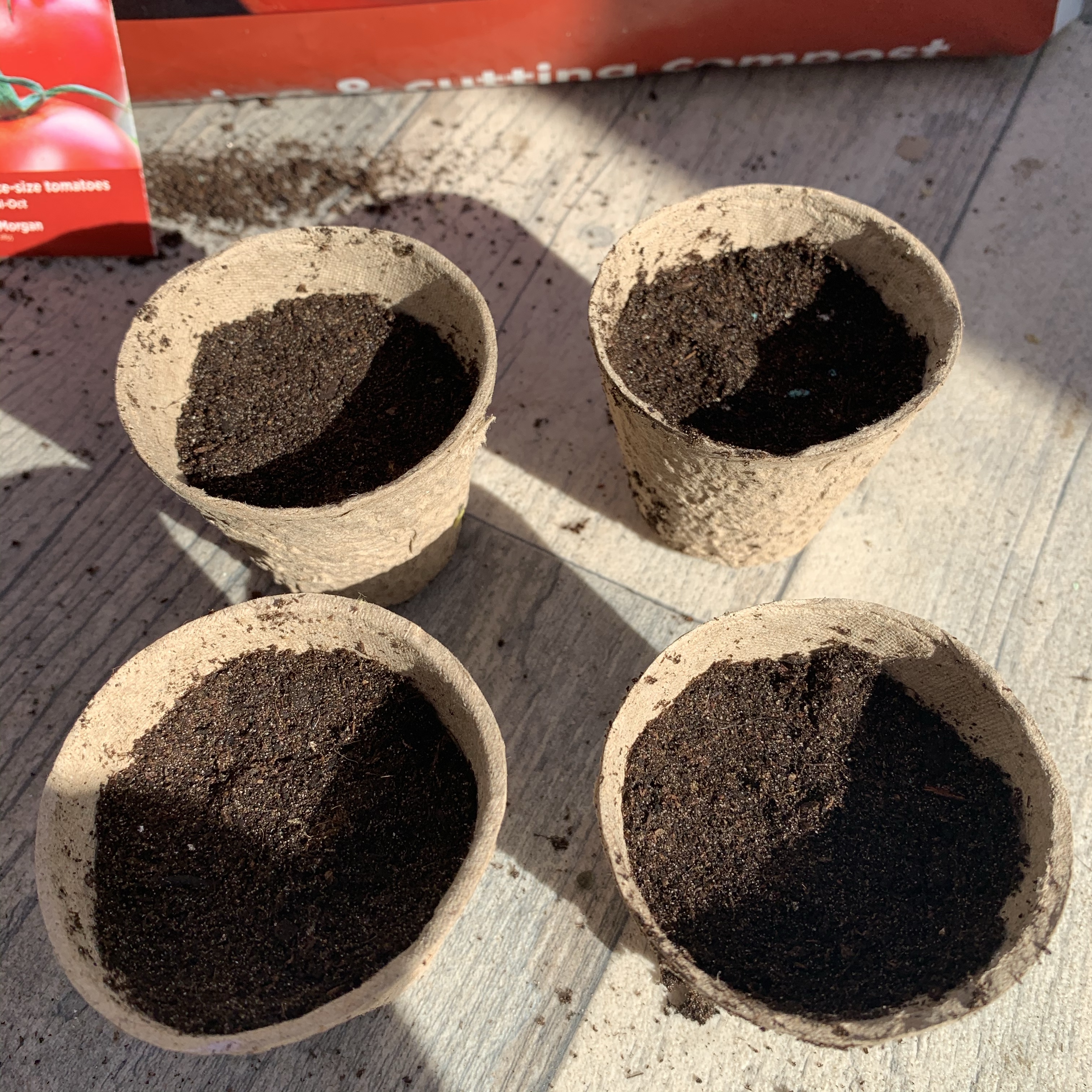 Fibre pots with compost