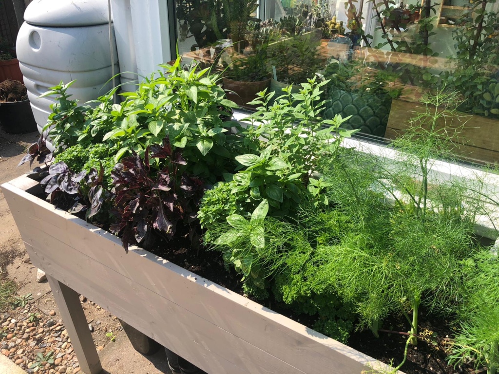 DIY herb planter